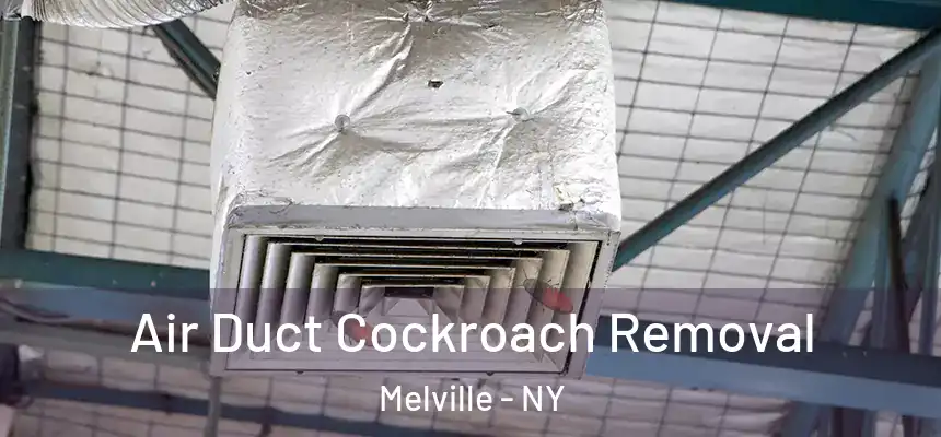 Air Duct Cockroach Removal Melville - NY