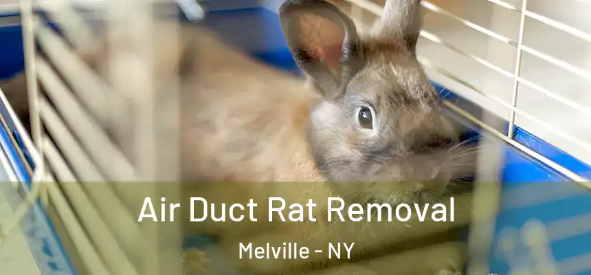  Air Duct Rat Removal Melville - NY