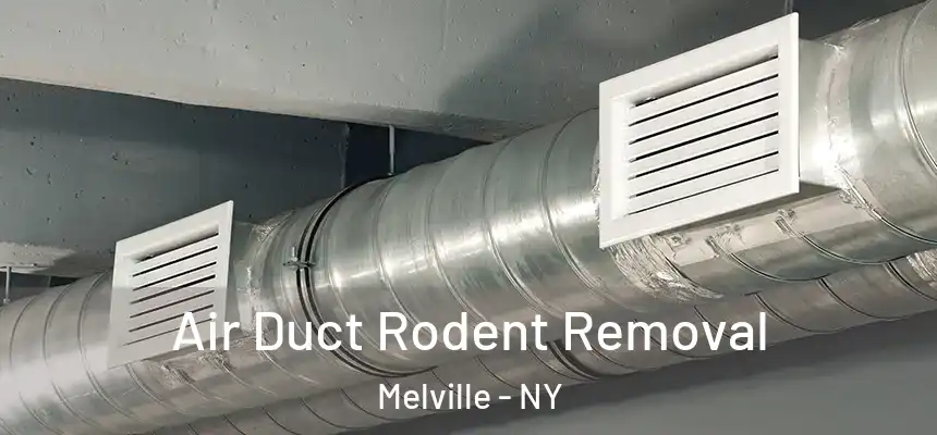 Air Duct Rodent Removal Melville - NY