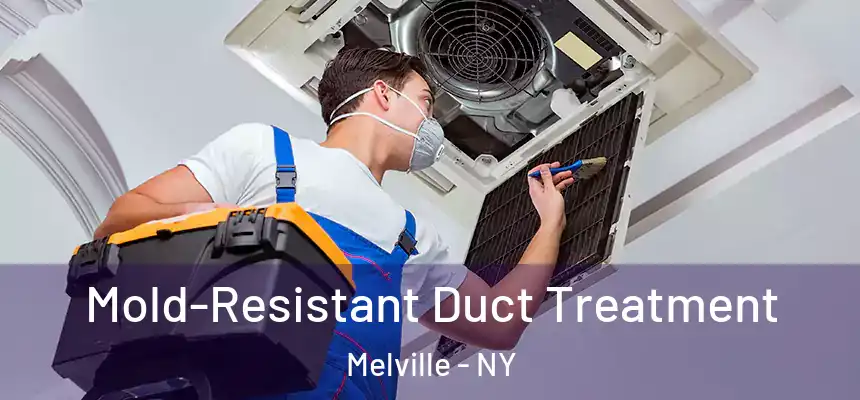  Mold-Resistant Duct Treatment Melville - NY