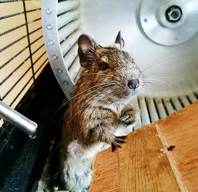 Why Homeowners & Businesses Trust Us Melville, NY